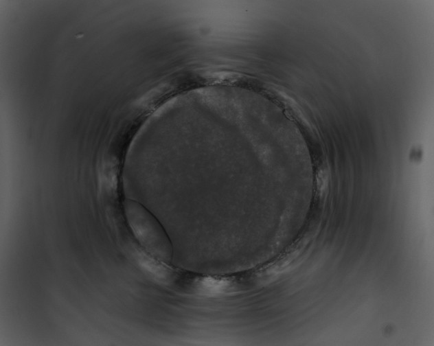 X0000100750570200807171414