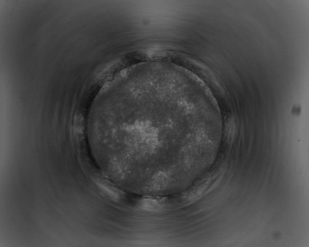 X0000100750571200807171414