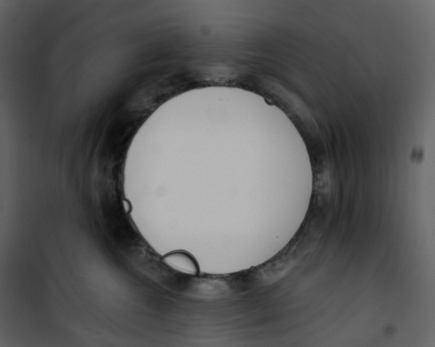 X0000100750572200807171414