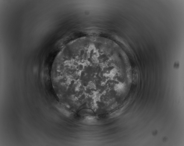 X0000100750573200807171414