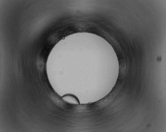 X0000100750574200807171414