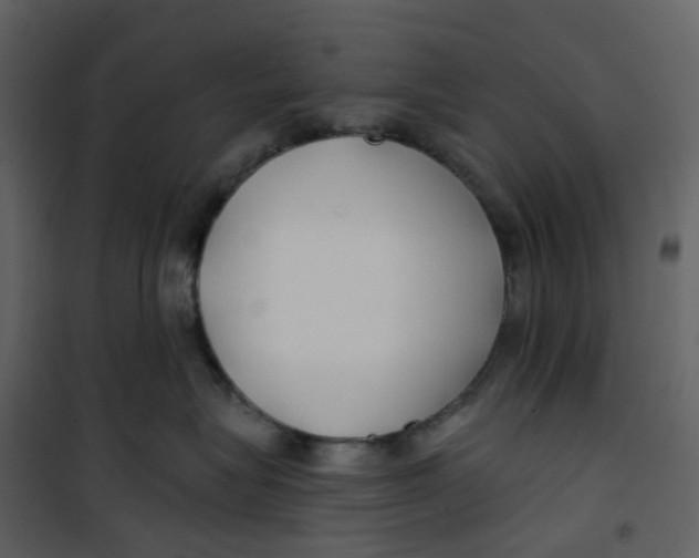 X0000100750575200807171414