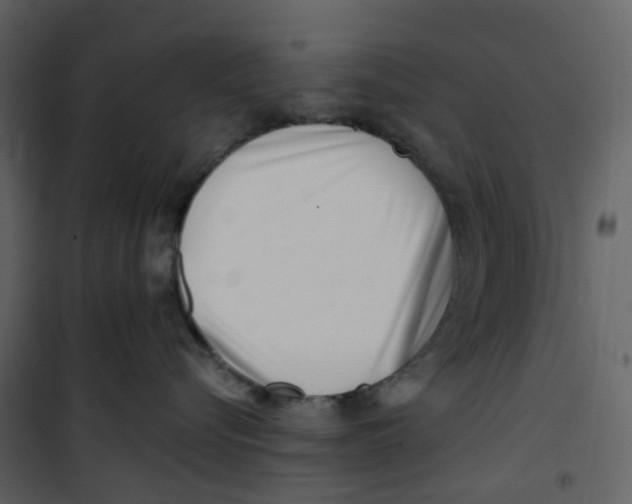 X0000100750576200807171414