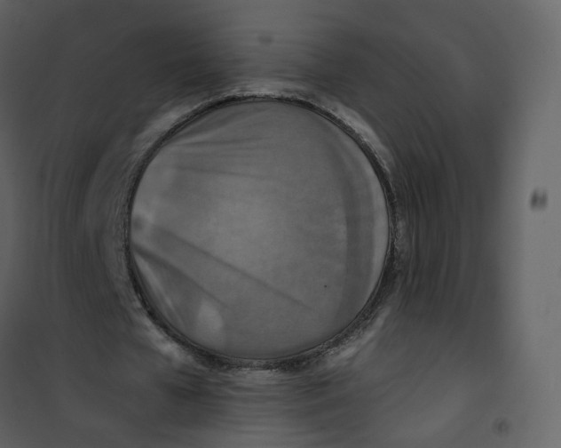 X0000100750577200807171414