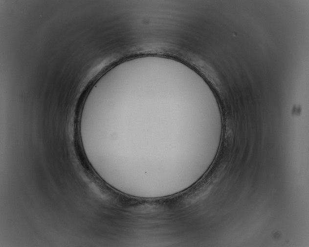 X0000100750578200807171414