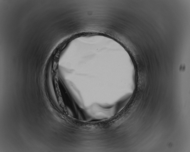 X0000100750580200807171414