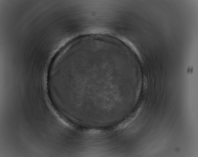 X0000100750581200807171414