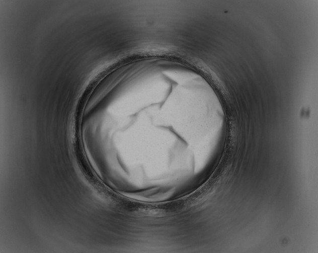 X0000100750582200807171414
