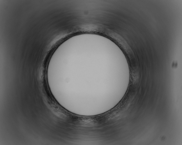 X0000100750583200807171414