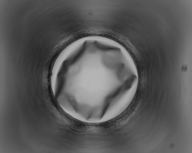 X0000100750585200807171413
