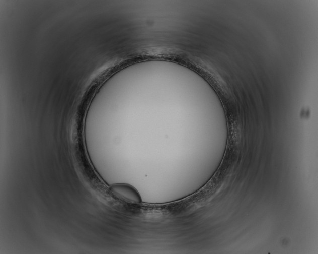 X0000100750587200807171413