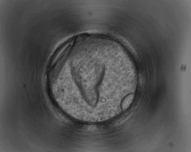 X0000100750588200807171413