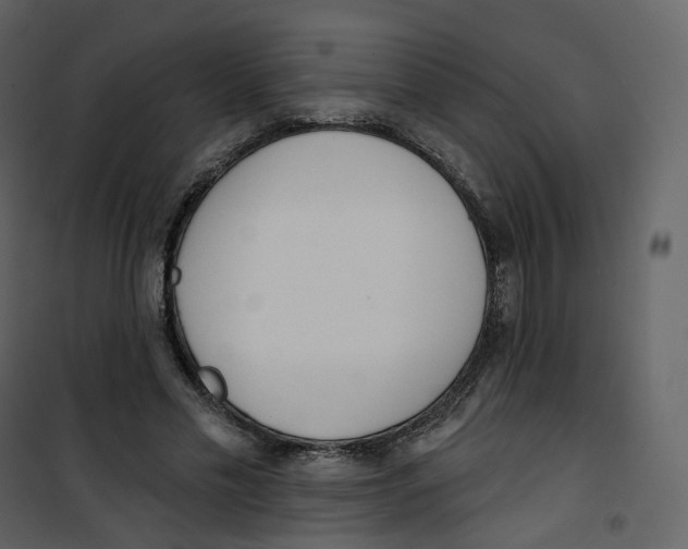 X0000100750589200807171413