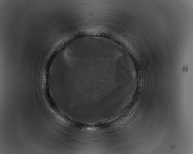 X0000100750590200807171413