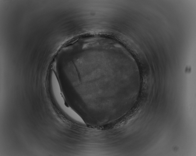 X0000100750592200807171413