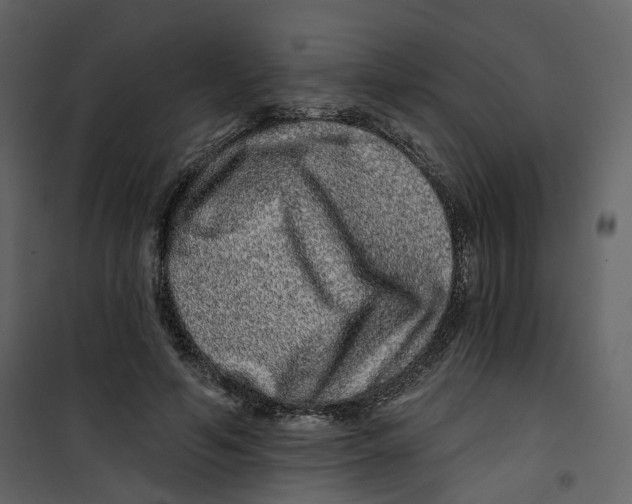X0000100750594200807171413