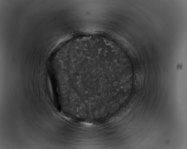 X0000100750596200807171413