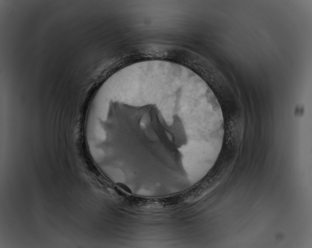X0000100750600200807171413