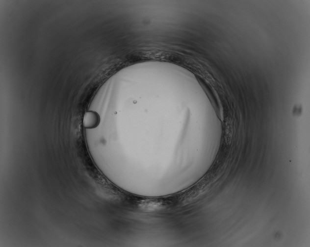 X0000100750602200807171413