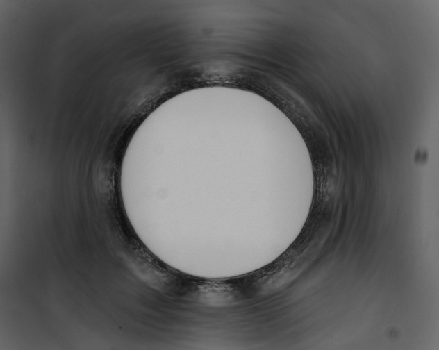X0000100750603200807171413