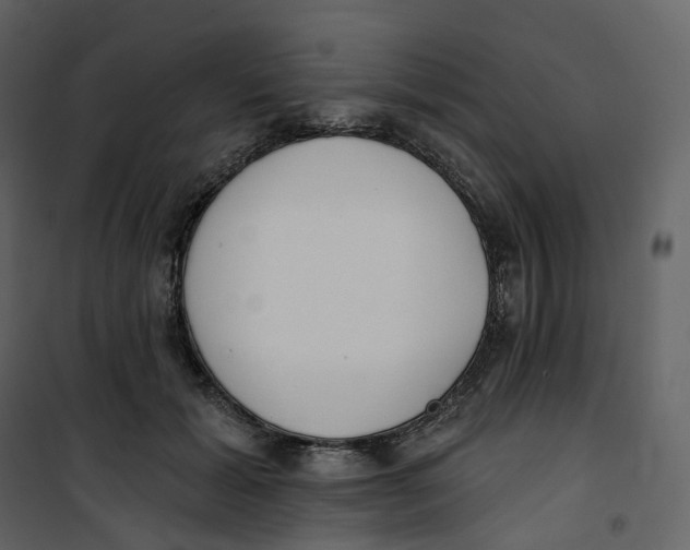 X0000100750605200807171413