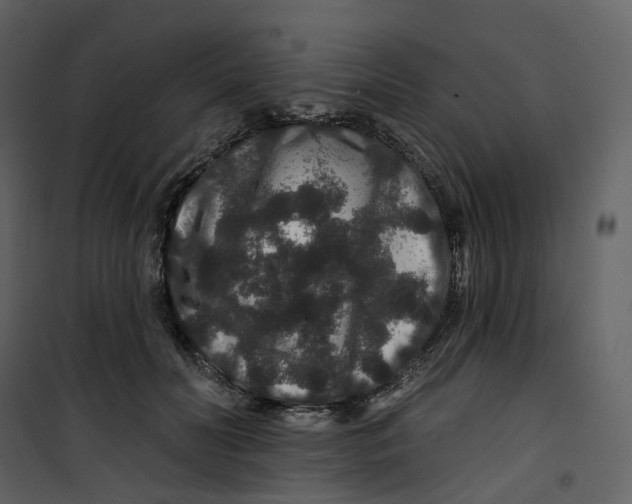 X0000100750606200807171413