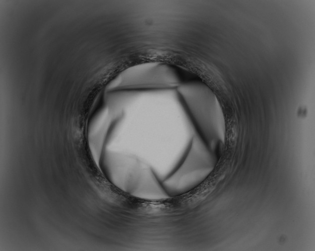X0000100750607200807171413