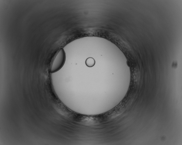 X0000100750611200807171413