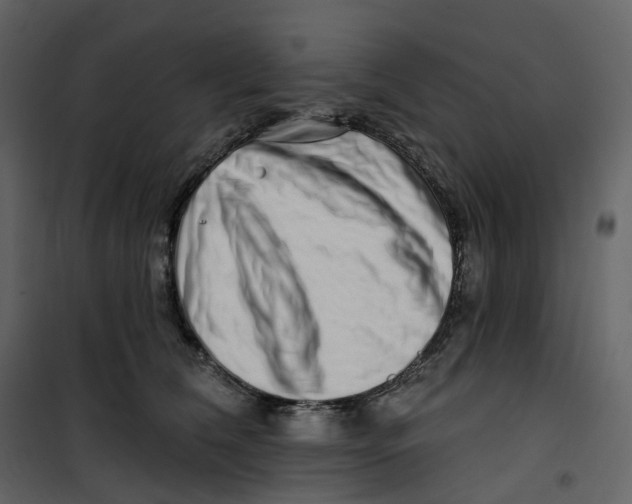 X0000100750612200807171413