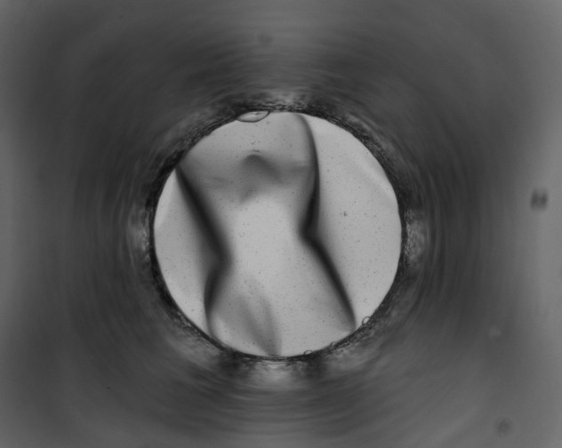 X0000100750613200807171413