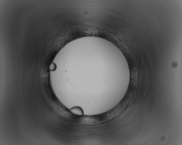 X0000100750614200807171413