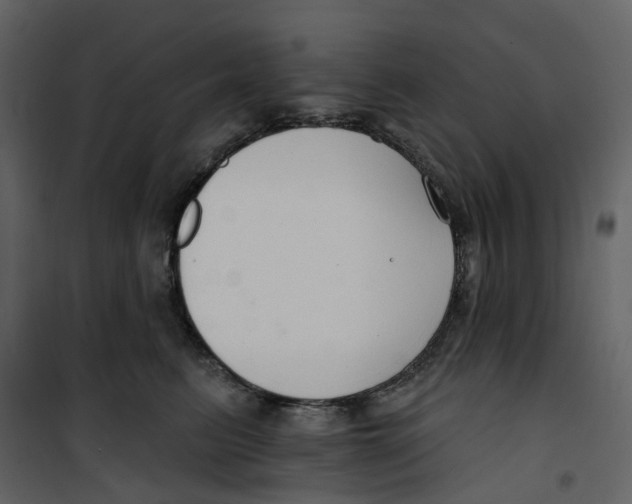 X0000100750615200807171413