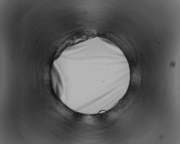 X0000100750616200807171413