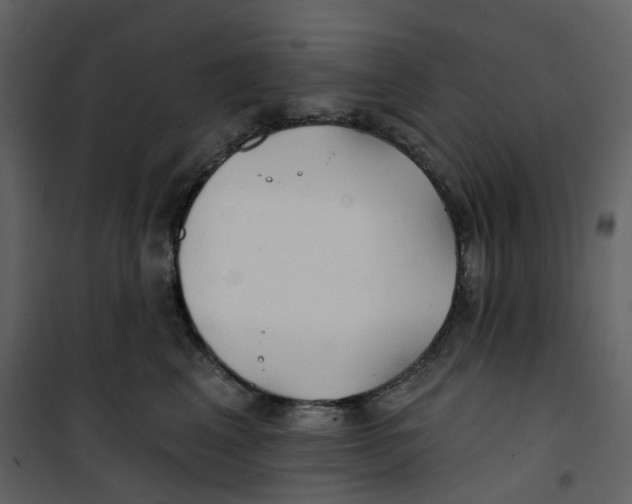 X0000100750617200807171413