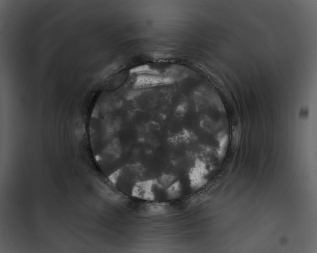 X0000100750618200807171413