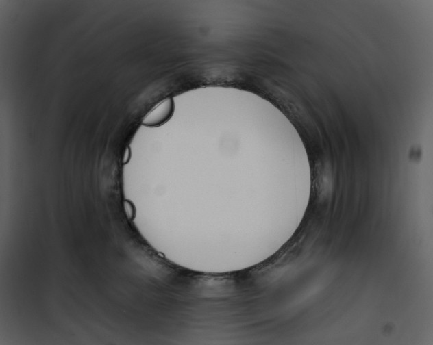 X0000100750619200807171413