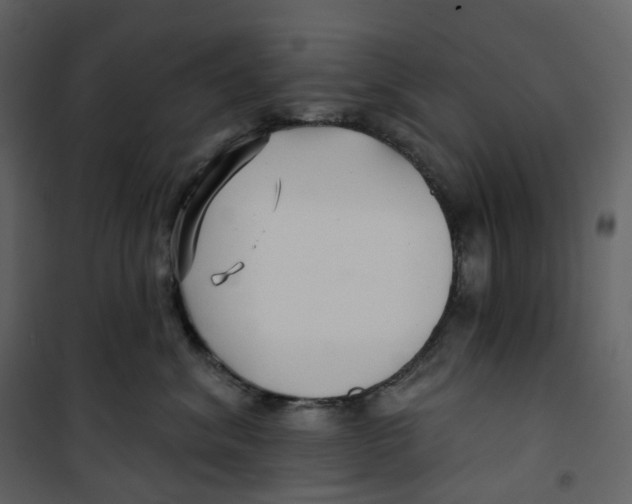 X0000100750620200807171413