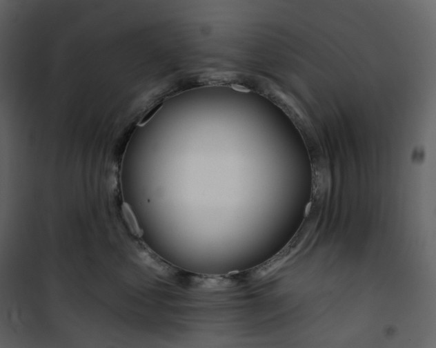 X0000100750621200807171413