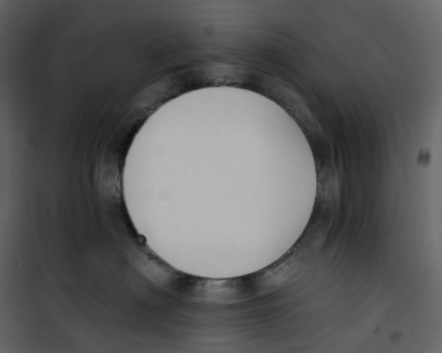 X0000100750622200807171413