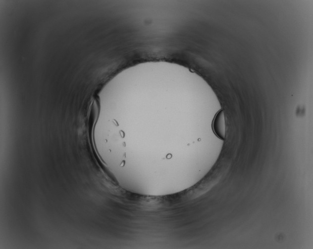 X0000100750624200807171413