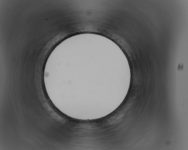 X0000100750625200807171412