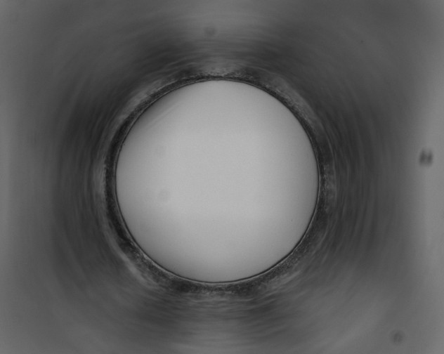 X0000100750626200807171412