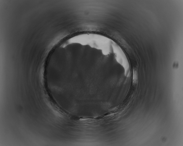 X0000100750627200807171412