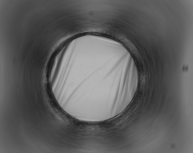 X0000100750628200807171412