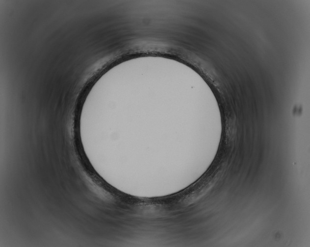 X0000100750629200807171412