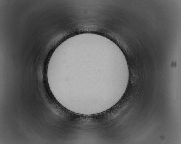 X0000100750631200807171412