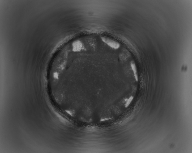X0000100750634200807171412