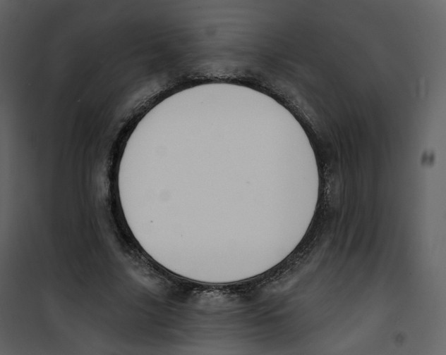 X0000100750635200807171412