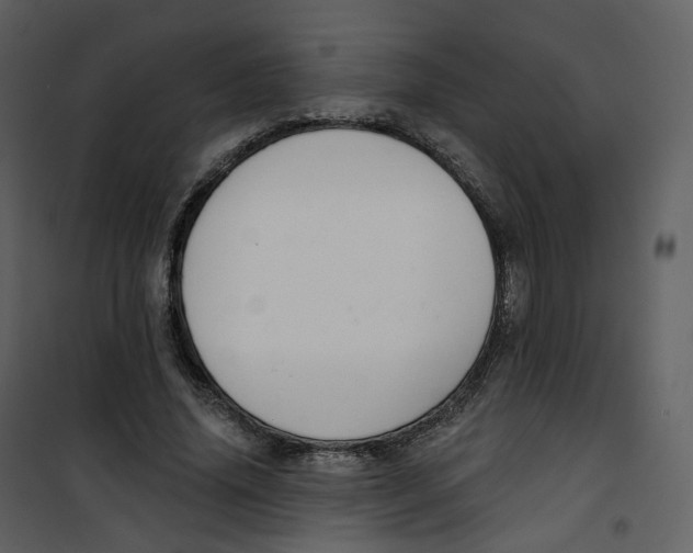 X0000100750636200807171412