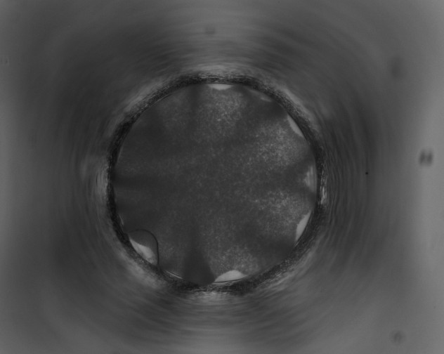 X0000100750637200807171412